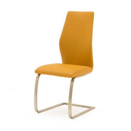 Irma Dining Chair - Pumpkin