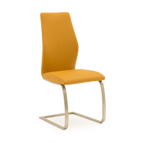 Irma Dining Chair - Pumpkin